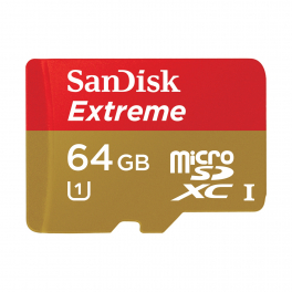 SANDISK Micro SDXC Extreme 64Go - Class 10