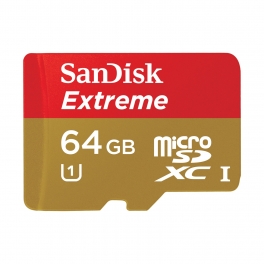 SANDISK Micro SDXC Extreme 64Go - Class 10