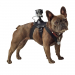 Support harnais pour chien - Compatible GOPRO / SJ4000